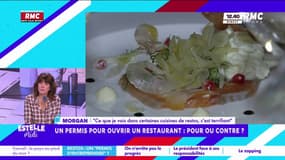 Un permis pour ouvrir un restaurant : "Certains restaurants sont envahis de blattes, de souris", témoigne un professionnel 
