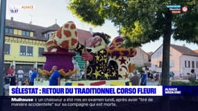 Bas-Rhin: le grand retour du corso fleuri à Sélestat