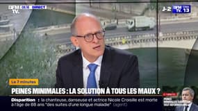 7 MINUTES POUR COMPRENDRE - Les peines minimales sont-elles vraiment la solution à tous les délits