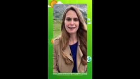 Challenge : Notre Planète Locale ! BFM DICI se mobilise pour l'environnement