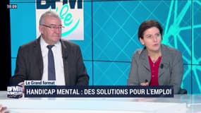 Handicap mental : des solutions pour l'emploi - 15/12