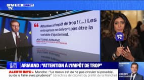 Prisca Thévenot (Ensemble pour la République): "Il ne faut pas pénaliser nos entreprises à un moment aussi crucial"
