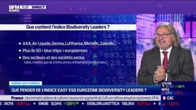 Idée de fonds : Que penser de l'indice Easy ESG Eurozone Biodiversity Leaders ? - 03/10
