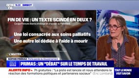 La porte-parole du gouvernement Sophie Primas sur BFMTV - 22/01