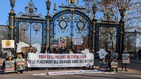 Des militants d'associations de protection animale manifestant le 30 novembre 2024 devant les grilles du parc de la Tête-d'Or à Lyon afin de demander la fermeture du zoo et le placement des animaux dans des refuges.