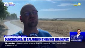 Dunkerque: il vous propose une balade en chiens de traîneaux