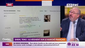 Shein, Temu : Ils règnent sur le marché français