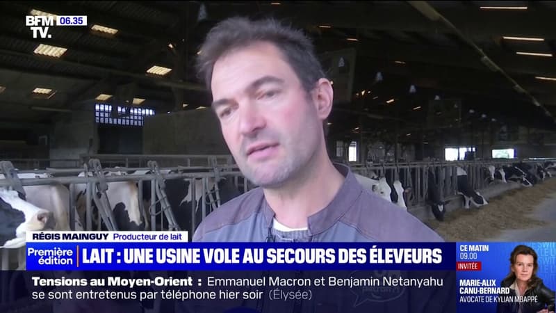 Une laiterie se dit prête à venir en aide aux éleveurs lâchés par Lactalis