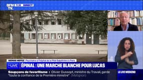 Harcèlement scolaire: "Le groupe crée la cruauté", selon le psychiatre Serge Hefez