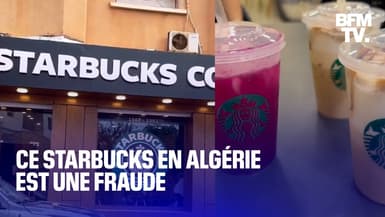 En Algérie, un café se fait passer pour un Starbucks et connaît un succès monstre