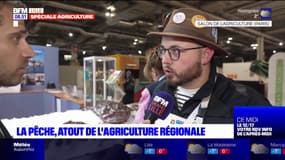 Hauts-de-France: la pêche, atout de l'agriculture régionale