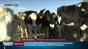 "On attend une réaction de l'Etat", des agriculteurs réclament des aides financières rapides 