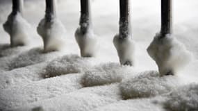 Le prix du sucre a augmenté de plus de 26% sur les trois premiers mois de l'année, selon l'Insee.
