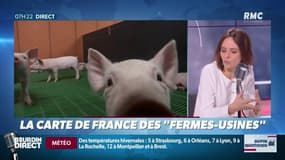 Dupin Quotidien : Découvrez la carte de France des "fermes-usines" !