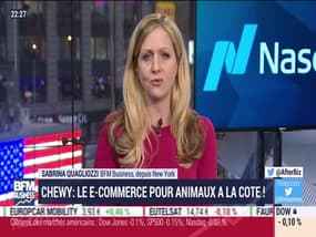 New York is amazing: Chewy, le e-commerce pour animaux a la cote ! par Sabrina Quagliozzi - 10/12