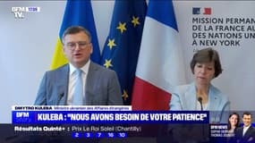 Accord sur les céréales ukrainiennes: "La Russie met en danger des millions de personnes à cause de la hausse des prix de l'alimentation", pour le ministre ukrainien des Affaires étrangères 