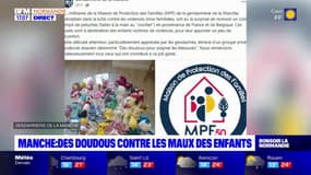 Manche: des peluches destinées aux enfants victimes de violences