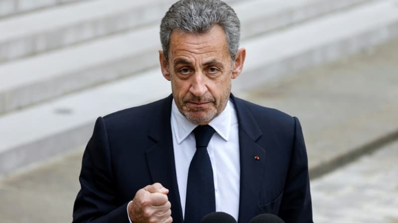 Législatives: Nicolas Sarkozy apporte son soutien à Marine Brenier, candidate d'Ensemble