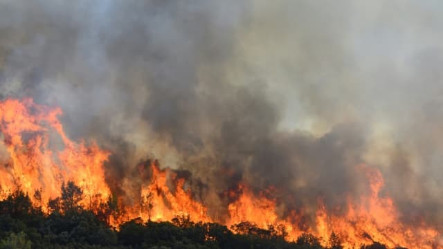 Incendie près de Gignac, le 26 juillet 2022 dans l'Hérault. (Photo d'illustration)