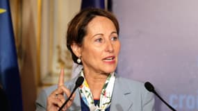 La ministre de l'Ecologie Ségolène Royal