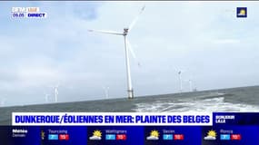 Dunkerque: la Belgique porte plainte contre le projet de parc éolien au large de Dunkerque