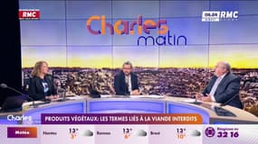 ManuConso - Produits végétaux : les termes liés à la viande interdits