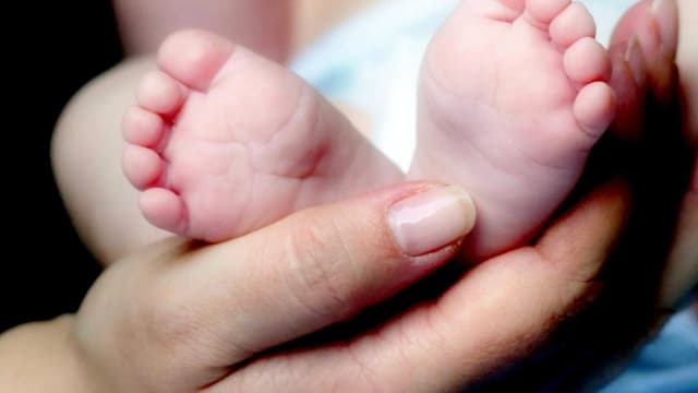 Un Nombre Anormalement Eleve De Bebes Nes Sans Bras Ou Sans Mains Dans L Ain