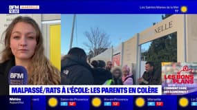 Marseille: l'école Malpassé infestée de rats, les parents d'élèves en colère