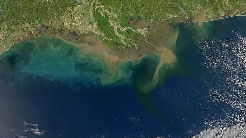 La zone morte du Golfe du Mexique est en passe de devenir la plus importante au monde. 