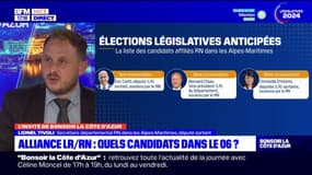 Législatives dans les Alpes-Maritimes: le RN ne présente pas de candidats sur trois circonscriptions