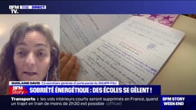 Guislaine David, porte-parole du SNIPP-FSU, à propos des coupures d'électricité: "On entre dans une nouvelle crise qui va désorganiser les choses" 
