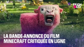 La bande-annonce du film Minecraft ne séduit clairement pas les fans du jeu