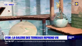 Lyon: la galerie des Terreaux reprend vie à partir de ce week-end