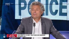 Le coup de gueule de Goldnadel contre la violence de jeunes : "ce n’est plus la guerre des boutons c’est la guerre des barres de fer"