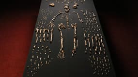 Image d'illustration.