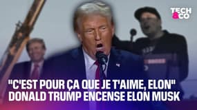 "C'est pour ça que je t'aime, Elon": Donald Trump encense Elon Musk lors de son discours de victoire