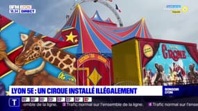 Lyon 5e : un cirque installé illégalement