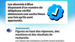 Twitter Blue arrive en France.