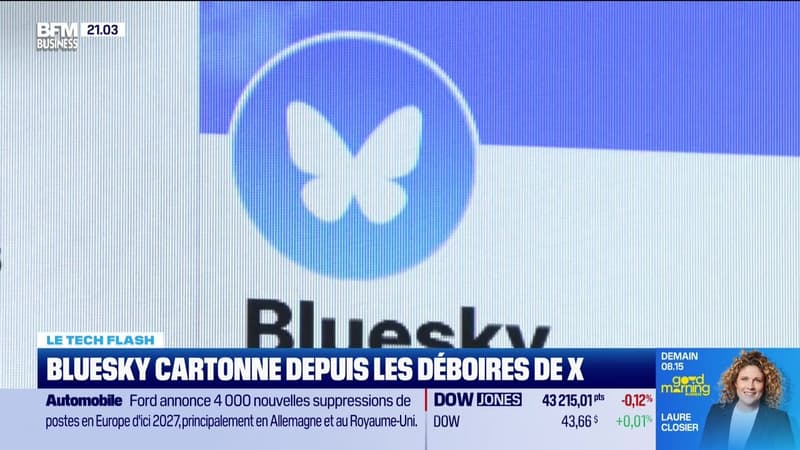 Le Tech Flash : Bluesky cartonne depuis les déboires de X, par Léa Benaim - 20/11