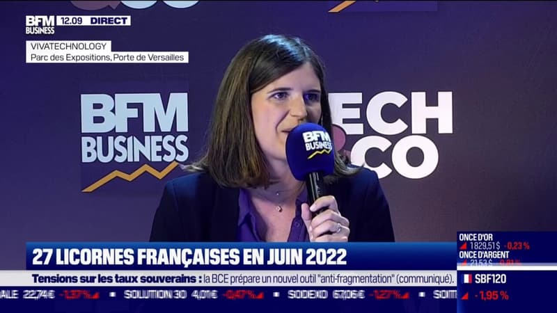 27 licornes françaises en juin 2022