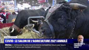 Covid-19: l'édition 2021 du Salon de l'agriculture est annulée