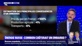 Combien coûterait un embargo européen des énergies russes ?