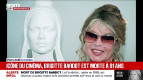 "Les gens qu'on aime ne meurent jamais": Pierre Arditi rend hommage à Brigitte Bardot, "une actrice formidable"