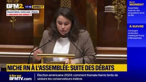Niche RN: "Ce n'est pas la France que nous défendons" 