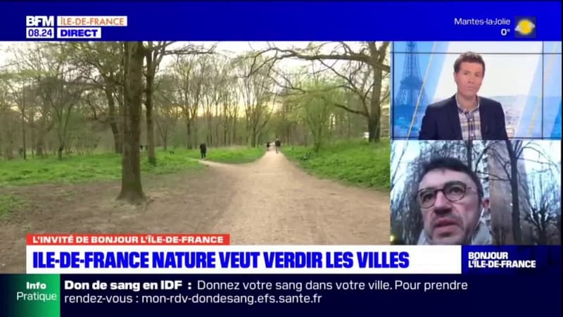 Renaturation en ville: toutes les communes d'Ile-de-France peuvent participer au projet