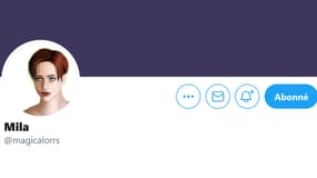 Capture d'écran du compte Twitter de Mila