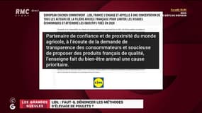 Lidl : faut-il dénoncer les méthodes d'élevage de poulets ? - 22/07