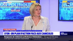 5.000 places de cinéma offertes, musées gratuits, expérimentation de visites à domicile... Le plan d'action de la mairie de Lyon face aux canicules