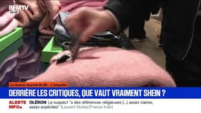 Shein au BHV: que valent vraiment les vêtements vendus?