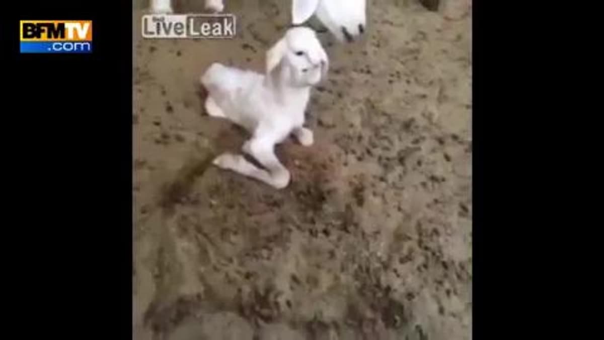 placeholder video